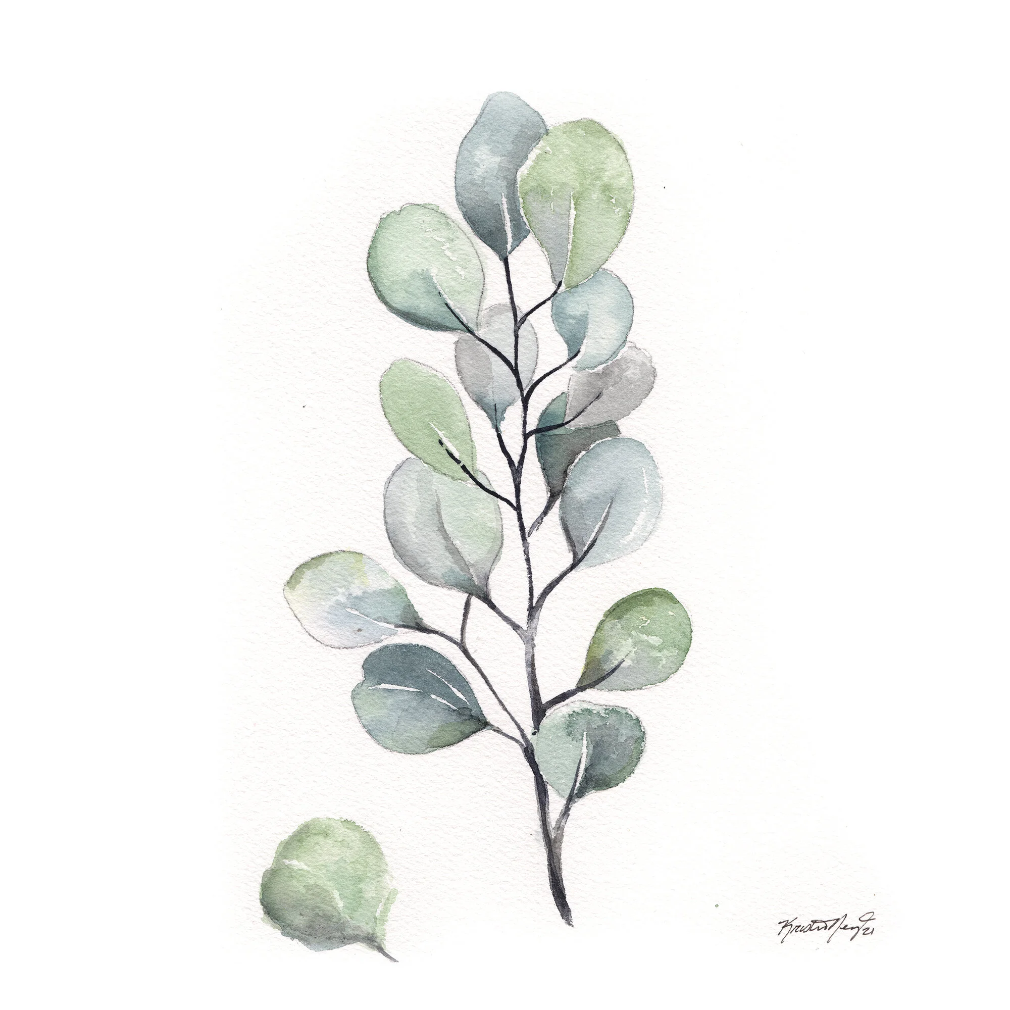 Caitlyn-eucalypus2-sm.jpg