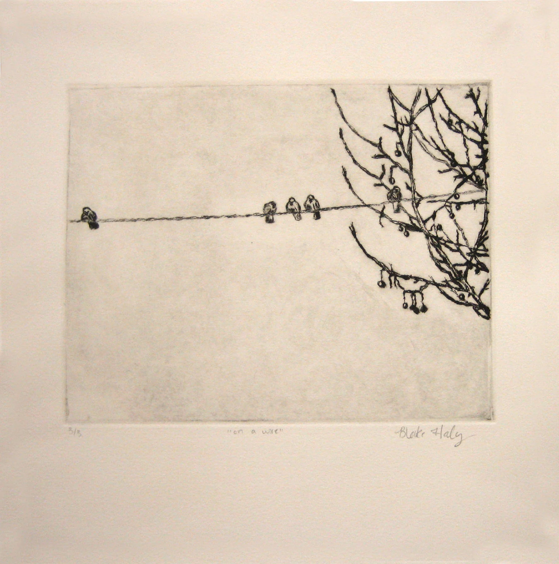 Drypoint1.jpg
