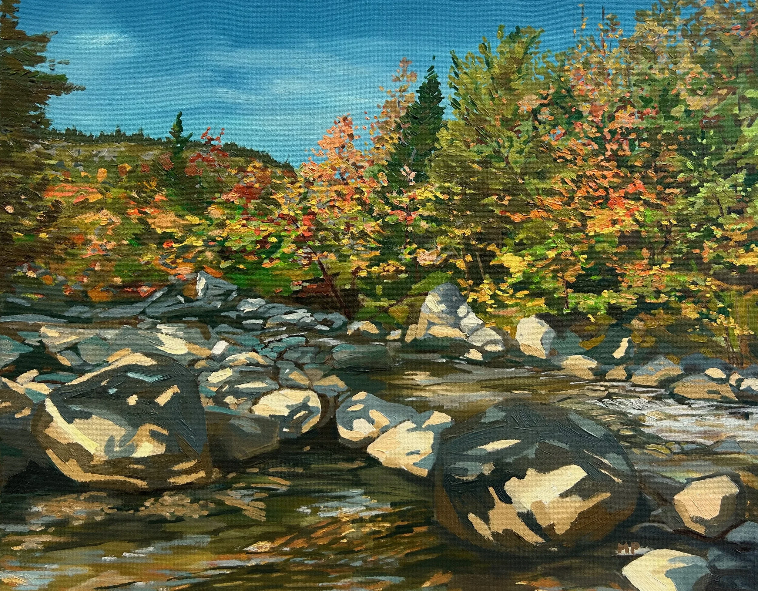  Nature Bath  oil on canvas  16” x 20” 