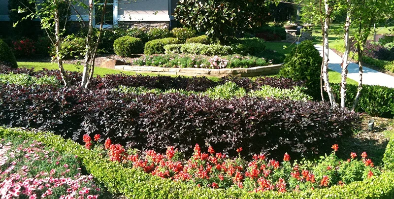 Landscape Design & Installation