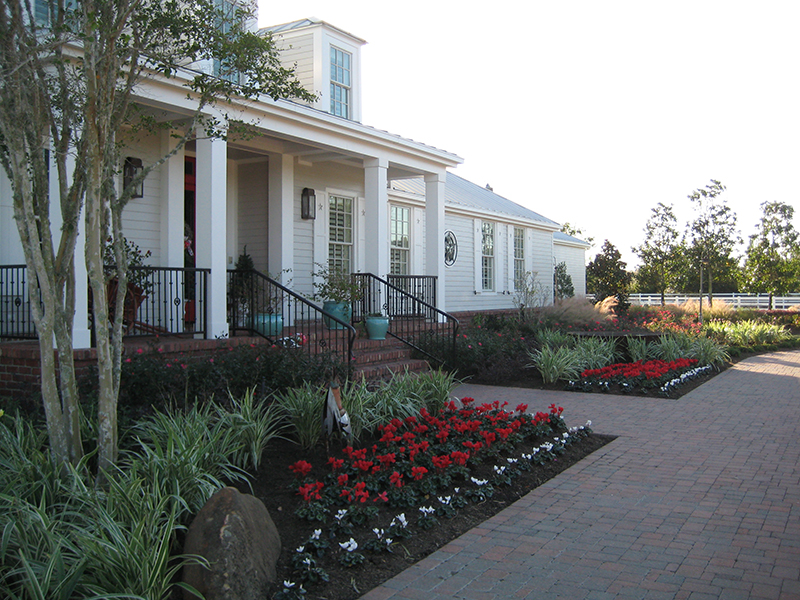 ab-cyclamen-Winter-Color-Christmas-flowers-landsacpe-design-maintenance-red-white-best-envy-exteriors-the-woodlands-spring-cypress-houston.jpg