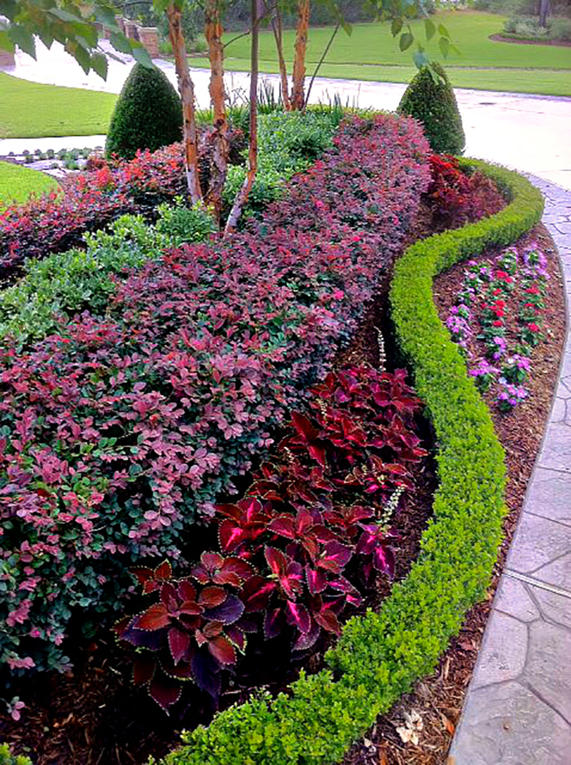 gm outdoor living landscape on Landscape Gallery Woodlands Envy Exteriors
