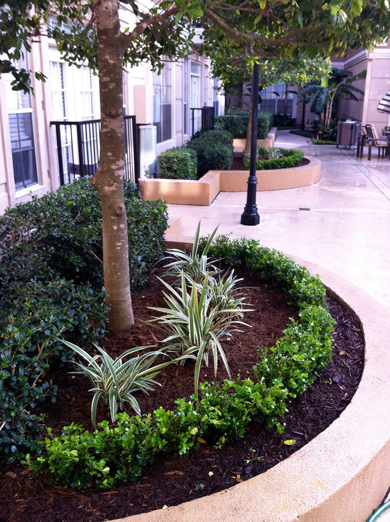 commercial-landscape-planter-installation-design-designer-architect-designs-houston-the-woodlands-cypress-spring-luxury-tomball-installer-install-custom-construction-new-retail-apartments-best-top-insured.jpg