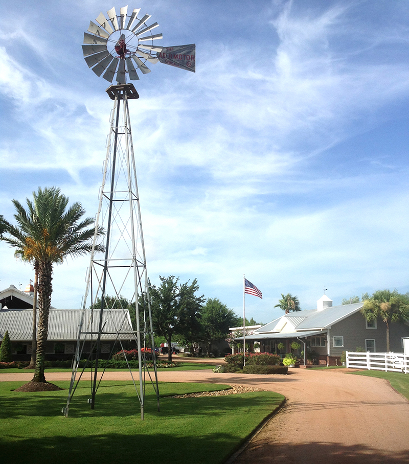 Country-ranch-with-crushed-granite-pathway,-sylvester-palm-and-large-windmill,-Cypress-Texas.jpg