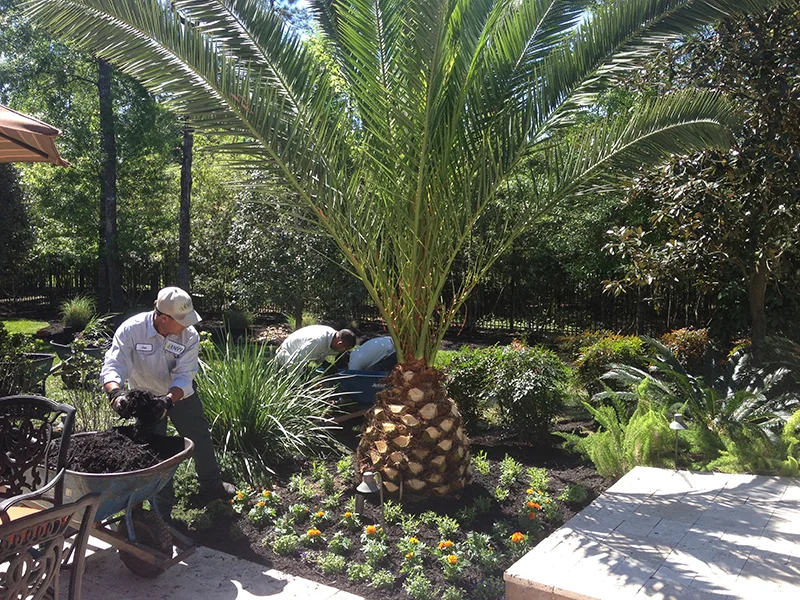 crews-installation-landscape-the-woodlands-houston-spring-cypress-landascaper-landscaping-palm-design-build-aggie-custom-luxury-best-irrigation-sprinkler-system-drainage-repair.jpg