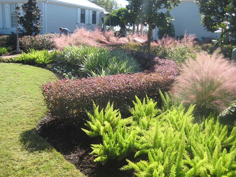 Fertilization-maintenance-landscape-lawn-design-the-woodlands-cypress-magnolia-spring-best.jpg