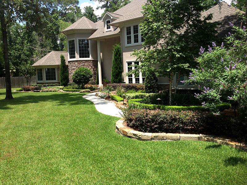 formal-planting-with-vitex,-river-birch,-loropetalum,-iris,-boxwood,-seasonal-color-and-stack-stone,-Magnolia-Texas.jpg