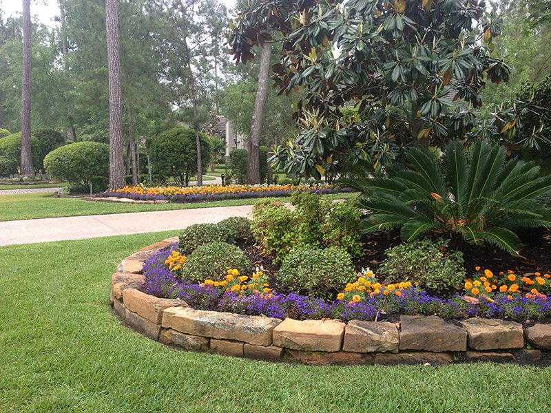 landscape-design-the-woodlands-carlton-woods-seasonal-planting-plants-landscaping-landscaper-install-installation-custom-best-top-luxury-stone-border-wall-spring-cypress-houston-woodforest-ideas-aggie-owned-magnolia.jpg