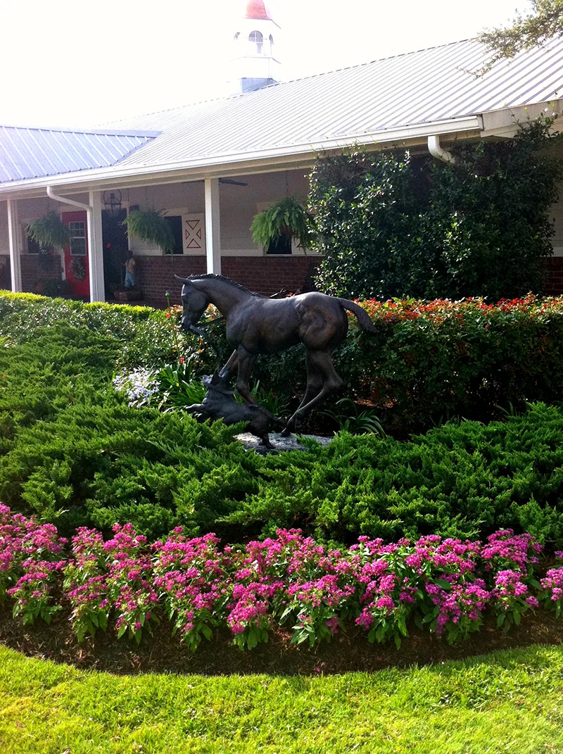 landscape-maintenance-equestrian-cypress-magnolia-houston-the-woodlands-design.jpg