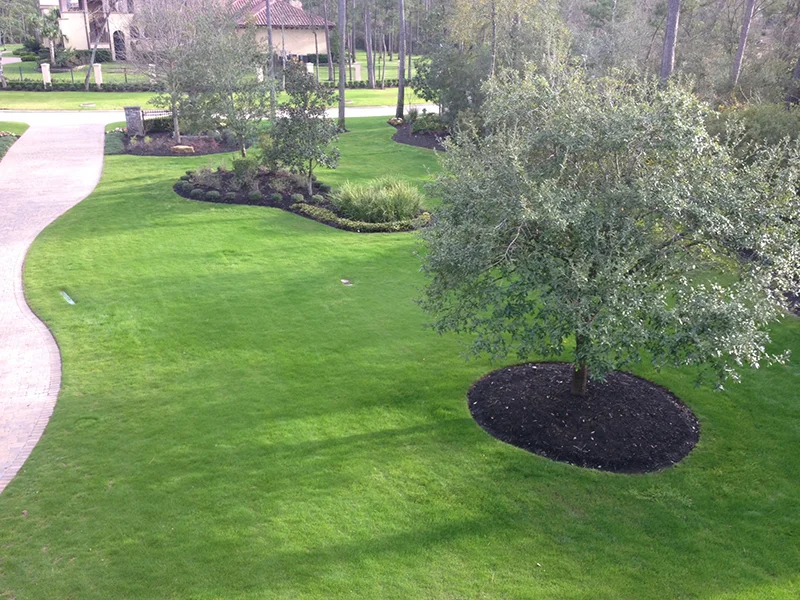 lawn-care-maintenance-fertilization-mow-service-lawn-landscaper-landscaping-company-the-woodlands-tx-houston-carlton-woods-spring-conroe-montgomery-woodforest-best-luxury-new-cypress.jpg