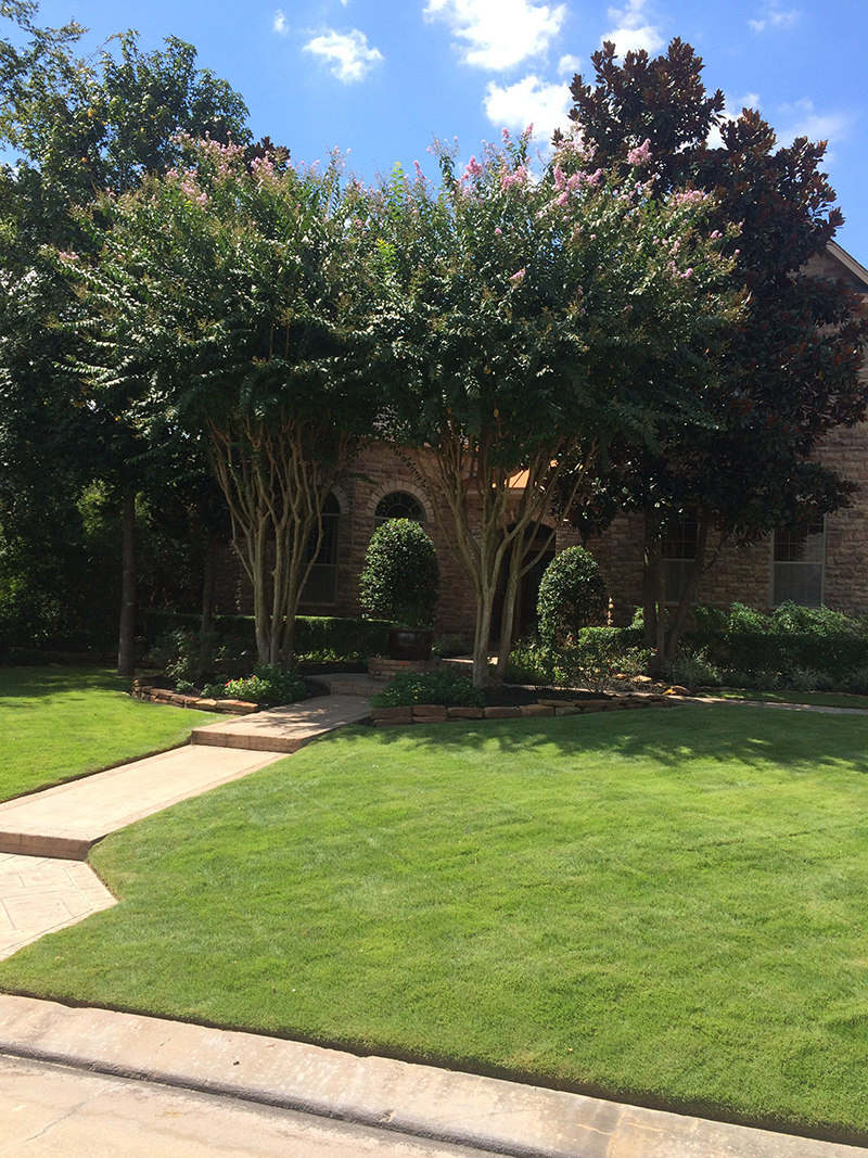 lawn-maintenance-lawn-care-landscape-the-woodlands-best-landscaper-spring-cypress-tomabll-magnolia.jpg