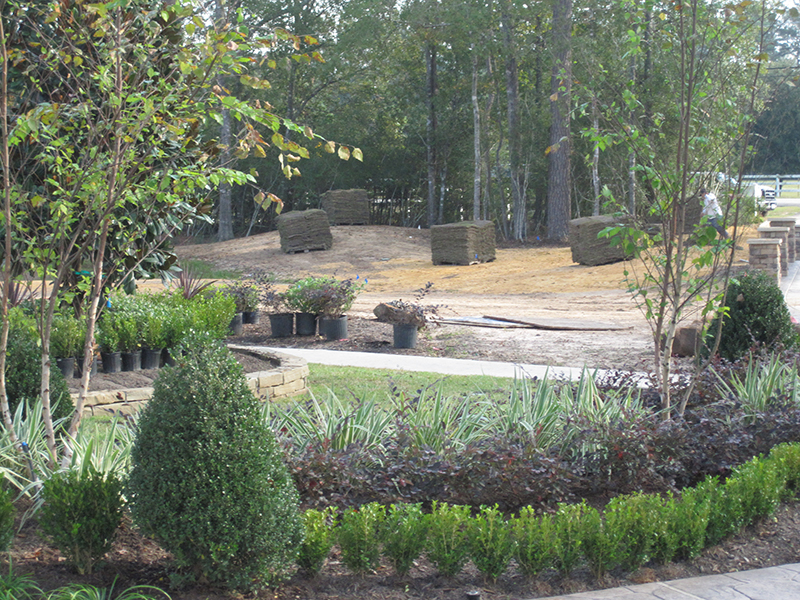 new-construction-home-landscape-design-install-sod-zoysia-landscaper-installation-design-designer-installer-best-top-company-lawn-the-woodlands-spring-magnolia-houston-cypress-north-conroe-montgomery-woodforest.jpg