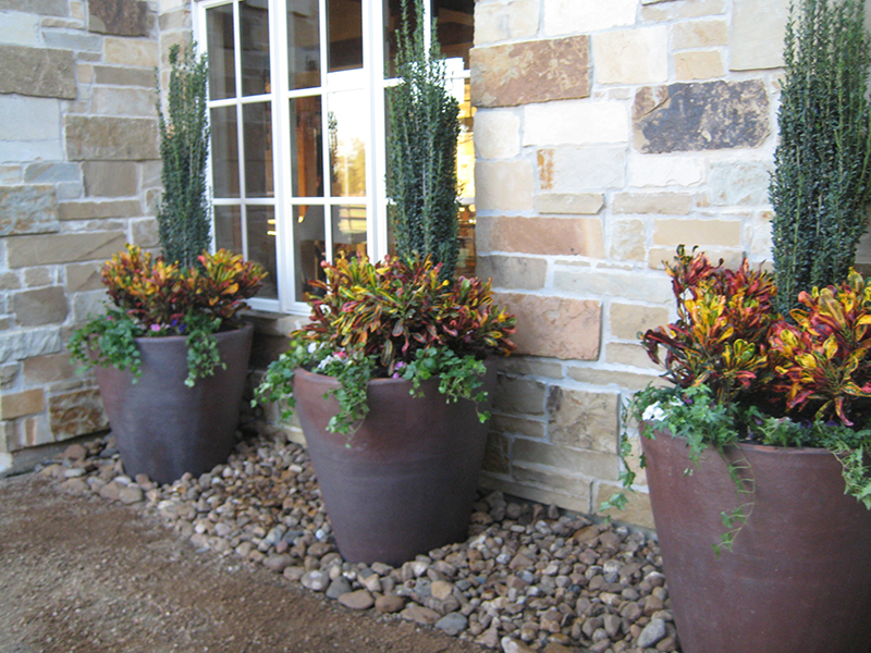 rustic-hill-country-pottery-landsacpe-envy-exteriors-sky-pencil-coleus-courtyard-the-woodlands-spring-houston.jpg