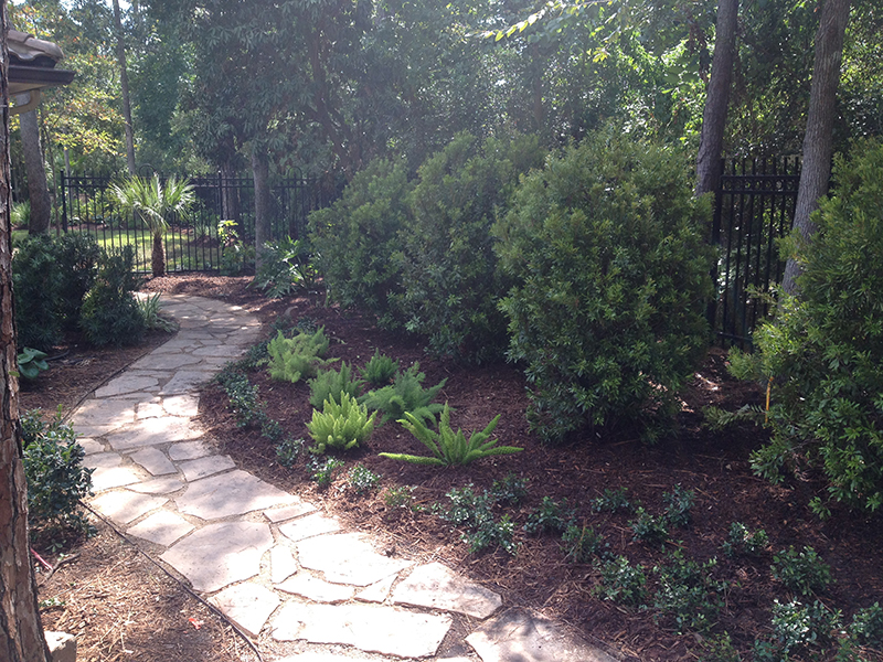 stone-flagston-walkway-pathway-landscaper-landscape-design-installation-custom-builder-carlton-woods-best-the-woodlands-lawn-care-service-repair-install-envy-exteriors-new-irrigation.jpg