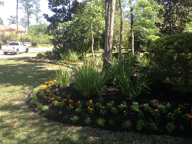 the-woodlands-carlton-woods-landscaper-landscape-design-builder-build-houston-tx-cypress-spring-beds-custom-luxury-lawn-care-maintenance-sprinklers-drainage-best-new.jpg