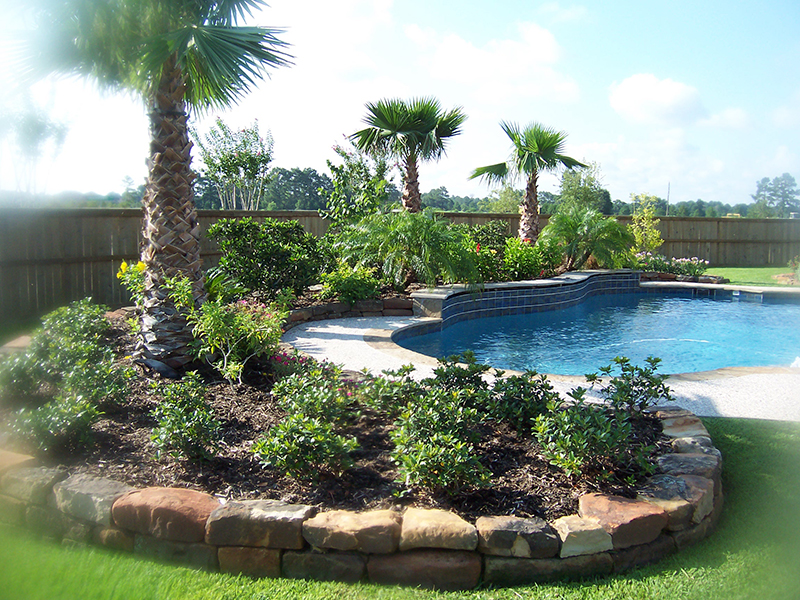 tropical-pool-landsacpe-install-palms-the-woodlands-spring-magnolia-stone.jpg