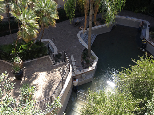 pool-renovation-remodel-construction-new-pavers-pebble-tec-tile-coping-installation-pool-builder-design-build-the-woodlands-houston-spring-commercial-residential-luxury-custom-professional.jpg