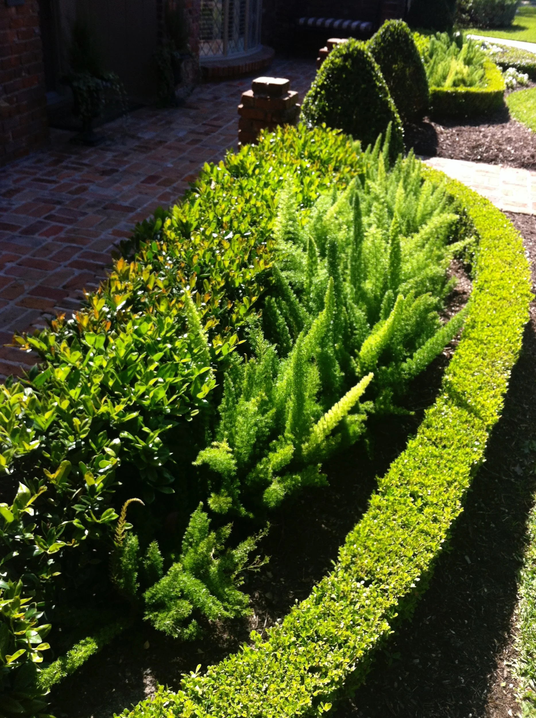 The Woodlands, Tx Landscape Design