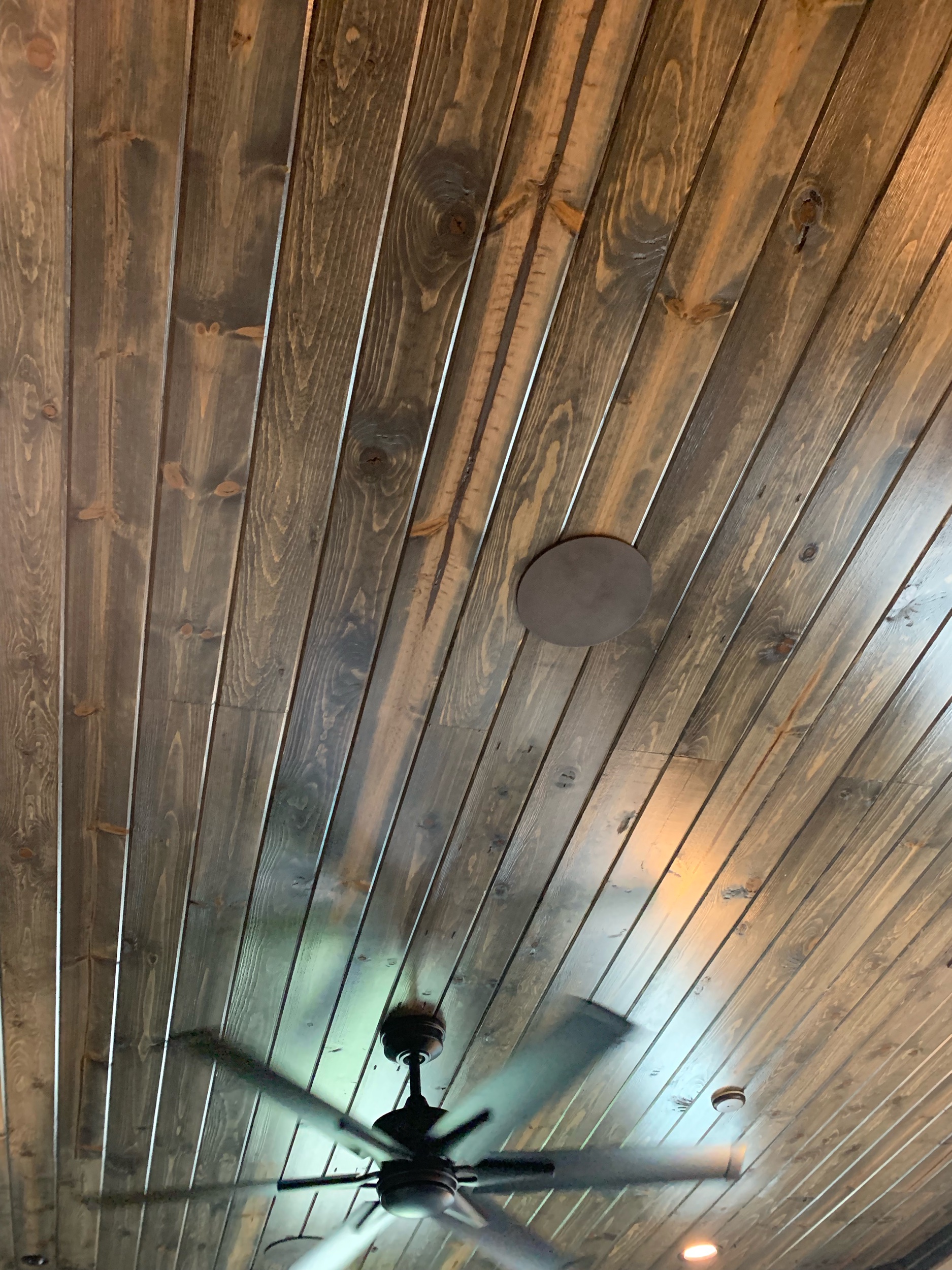 IMG_1767.jpeg