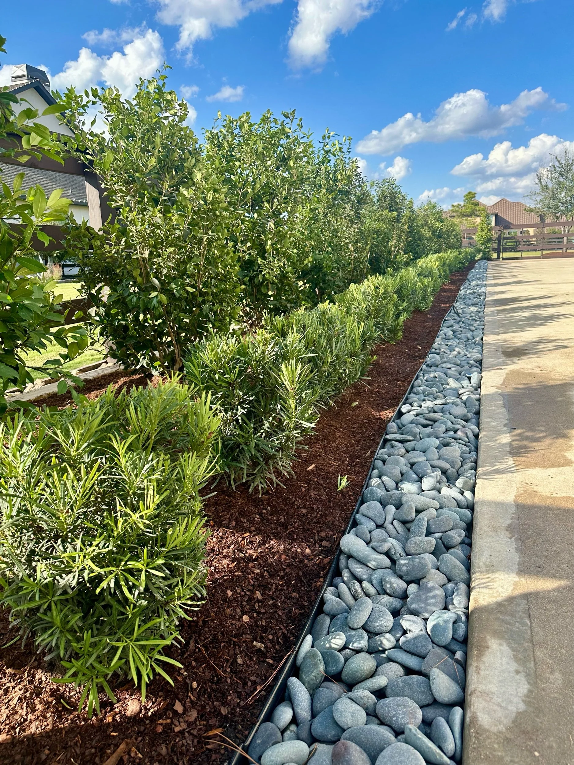 Landscape Design Woodlands