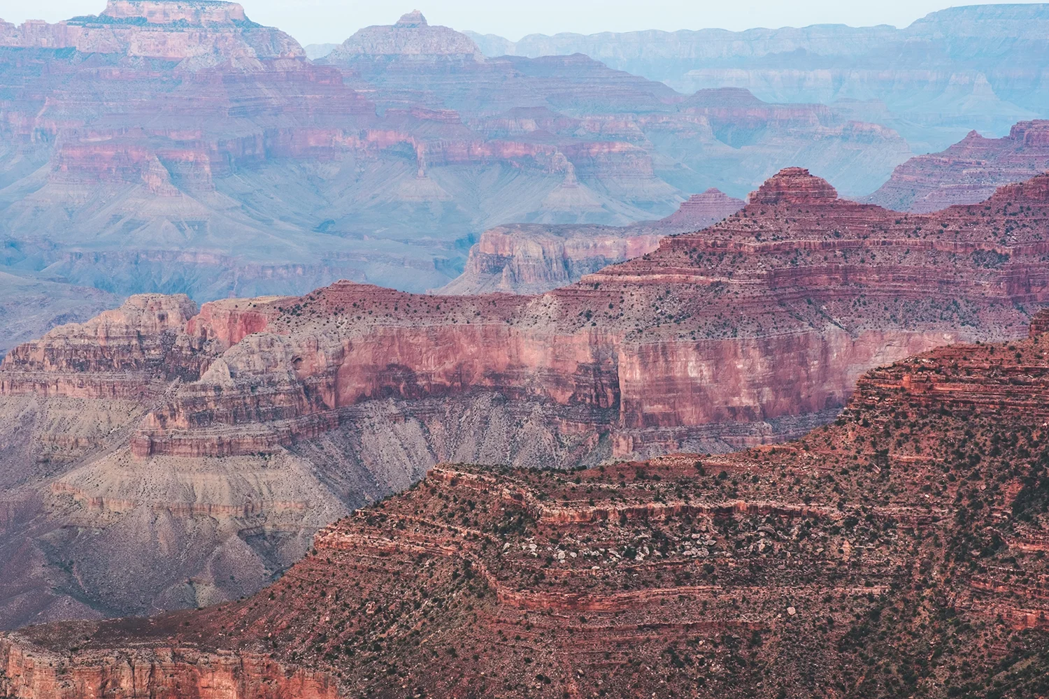(Grand Canyon, 2017 © Leonardo Mascaro)
