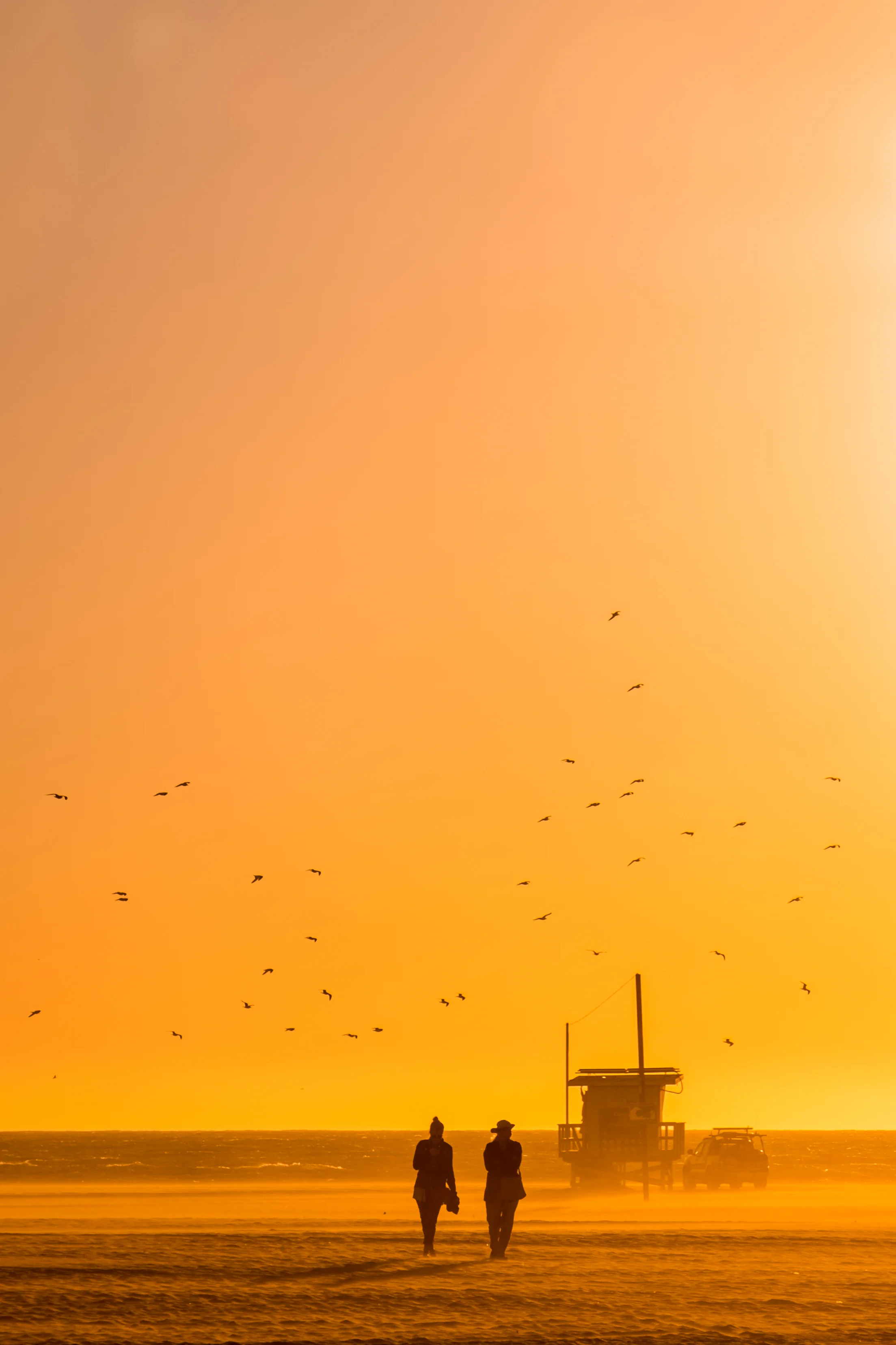 Venice Beach