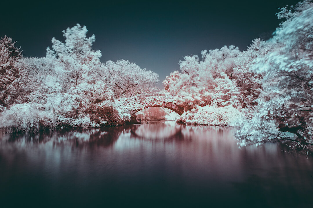 LeoMascaroInfrared-02.jpg