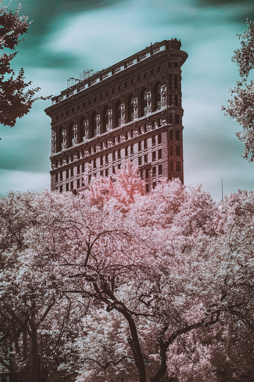 LeoMascaroInfrared-09.jpg