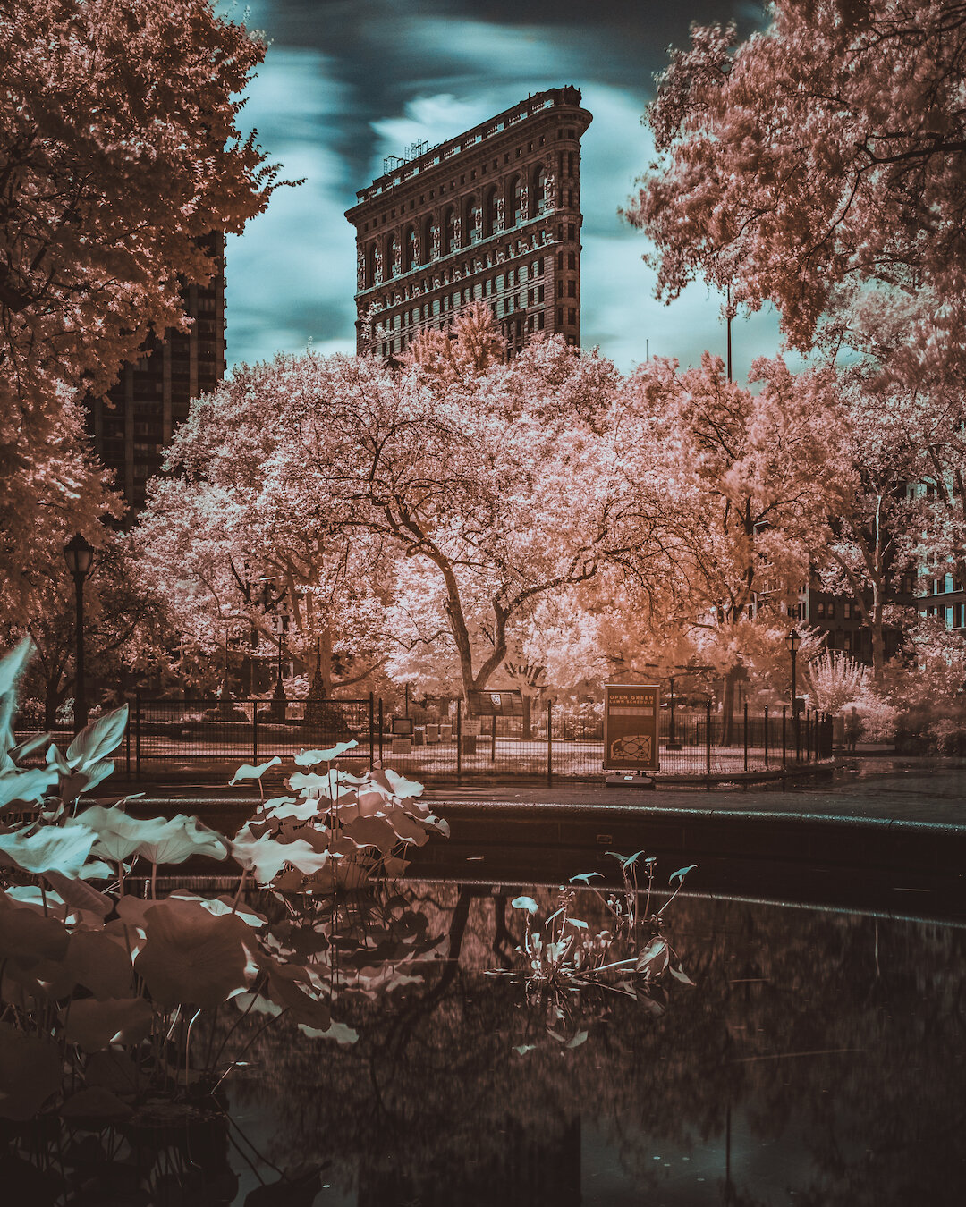 LeoMascaroInfrared-10.jpg