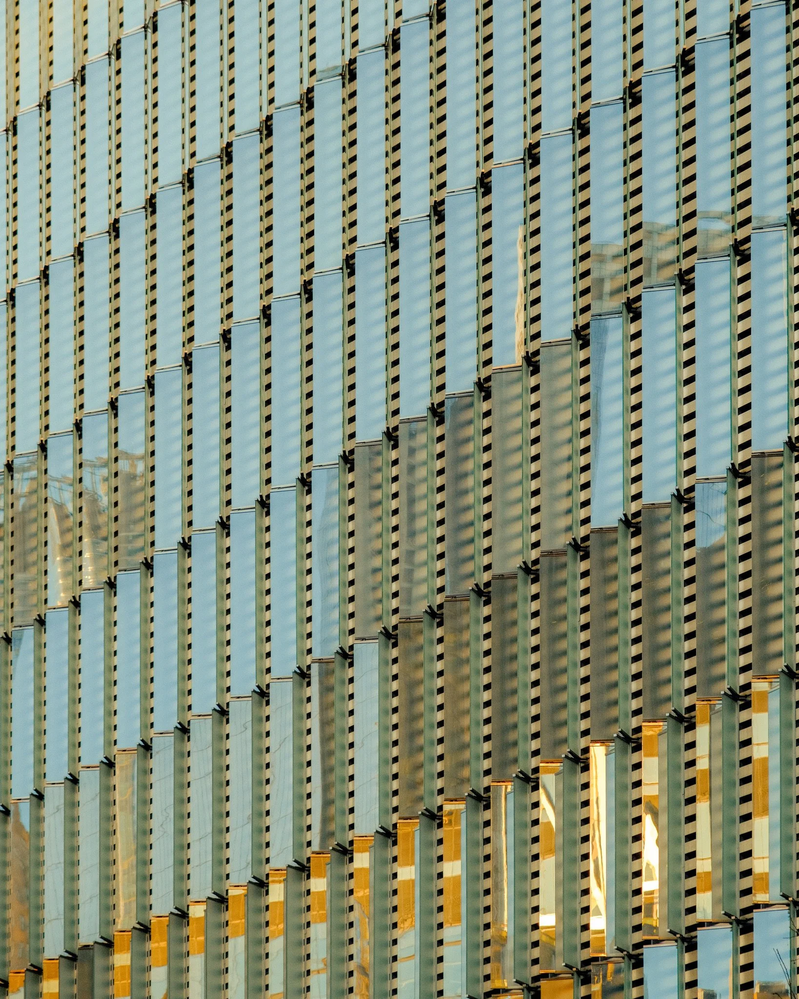 F5FDADEC-F1E0-4AD5-9AB6-7B8DFE8F8379.jpg