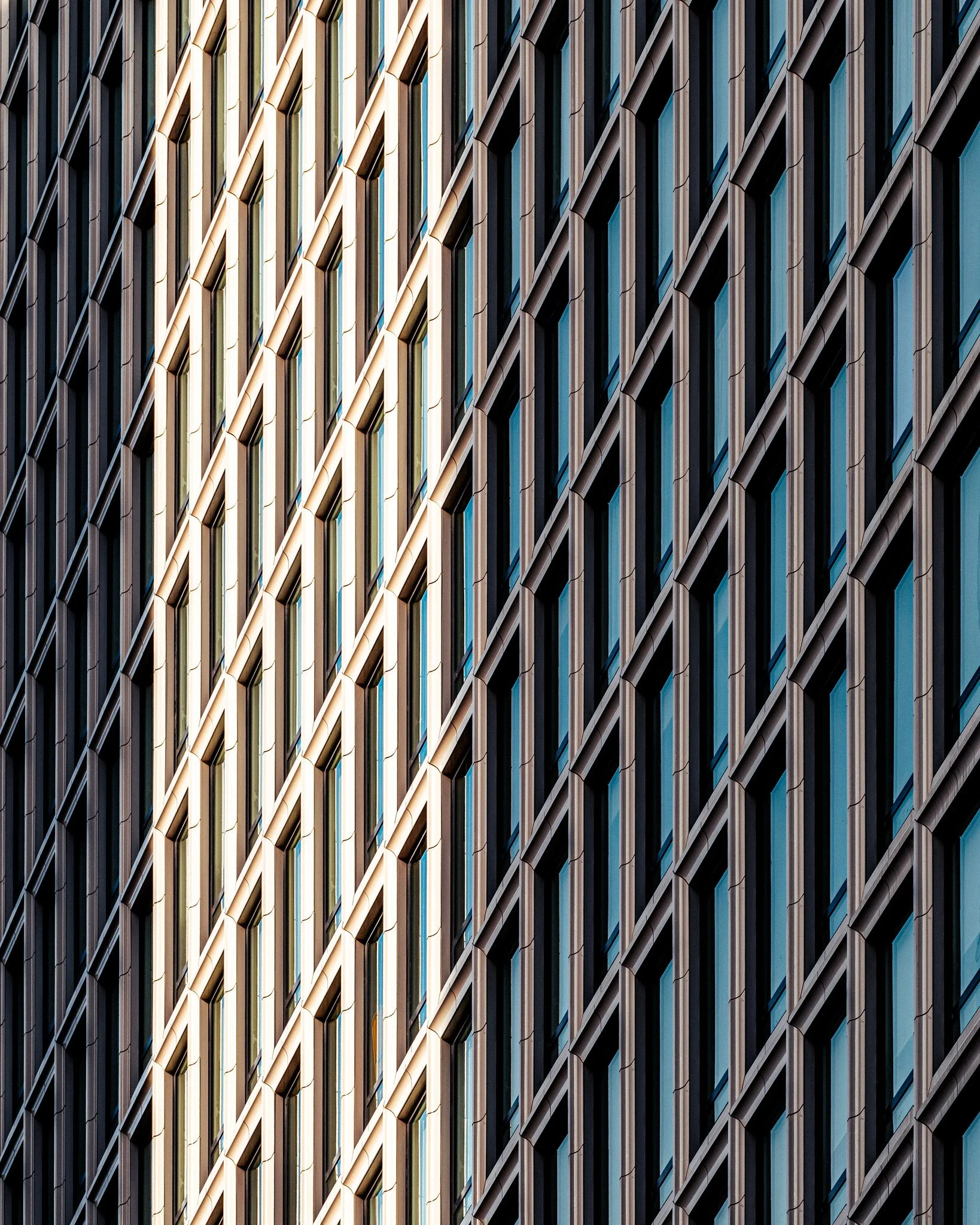 Leo Mascaro • Photographer & Content Curator