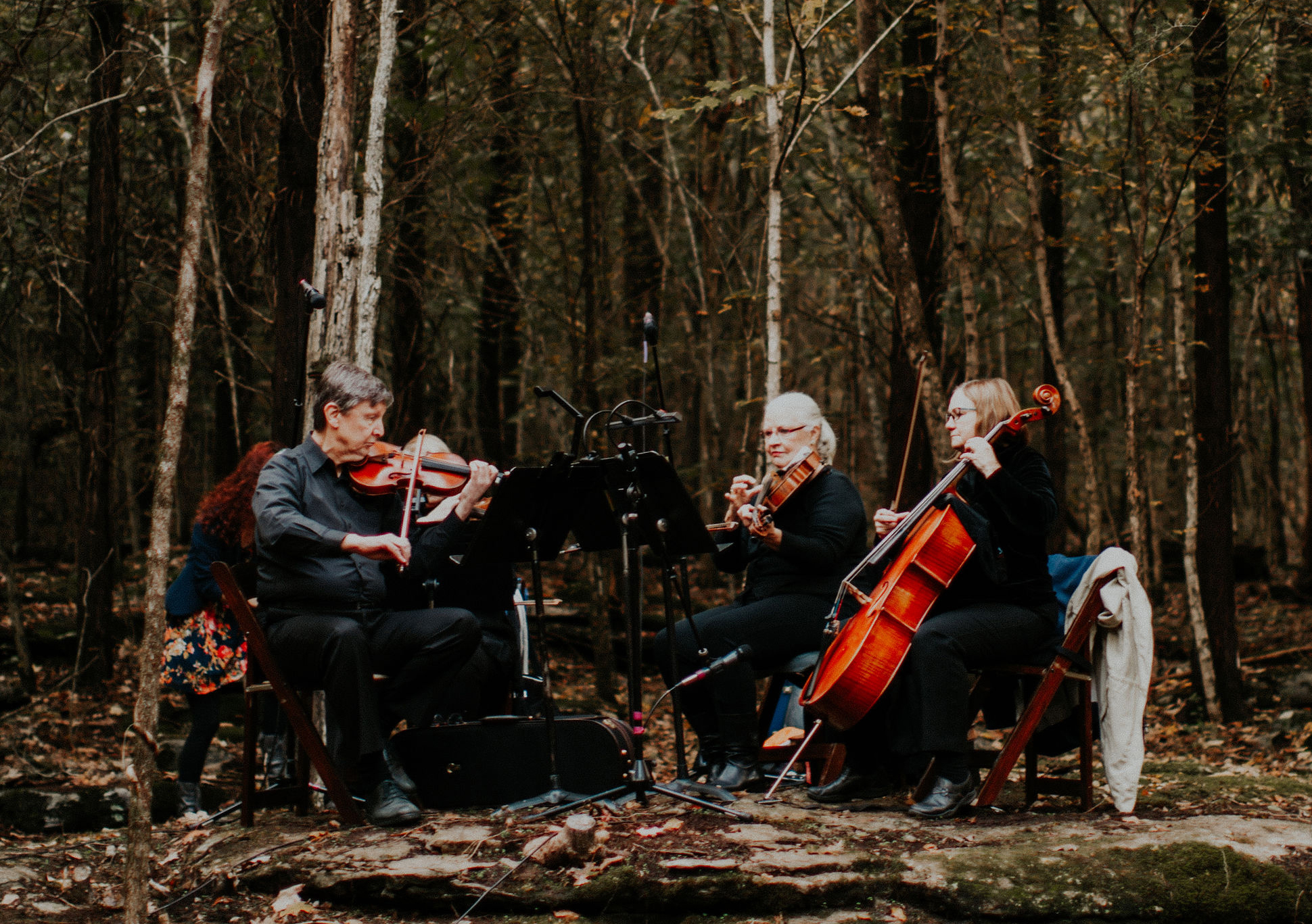 Strings-Cropped.jpg