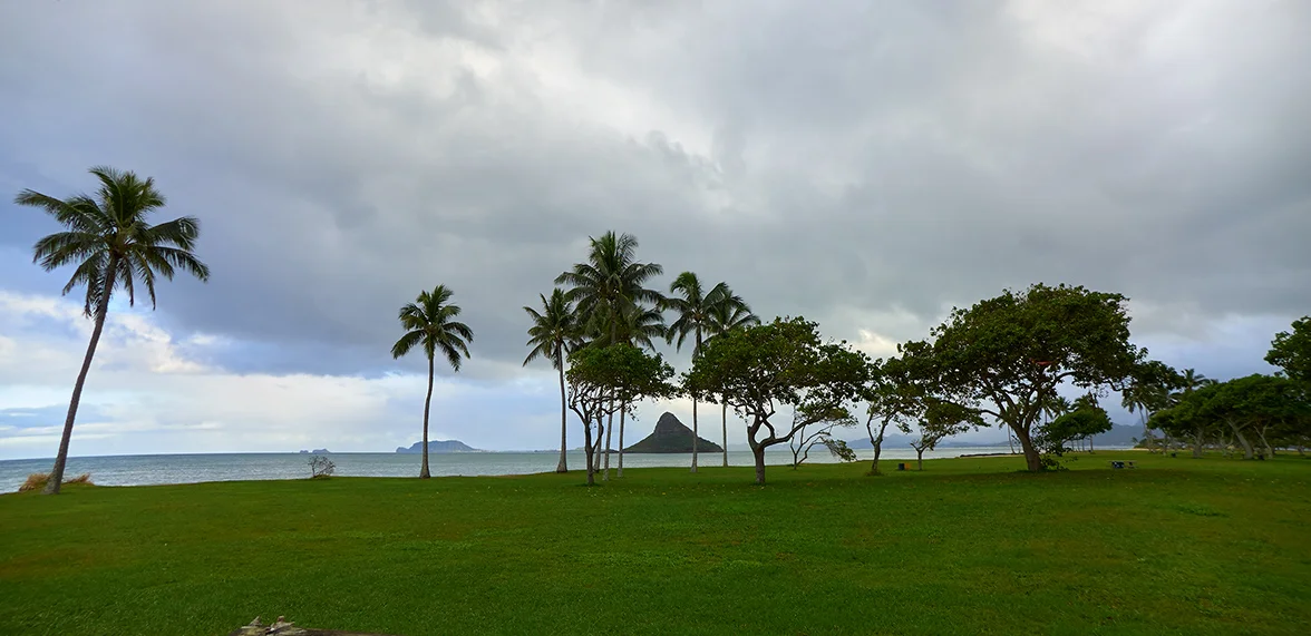 01_drive-to-the-northshore_053.jpg