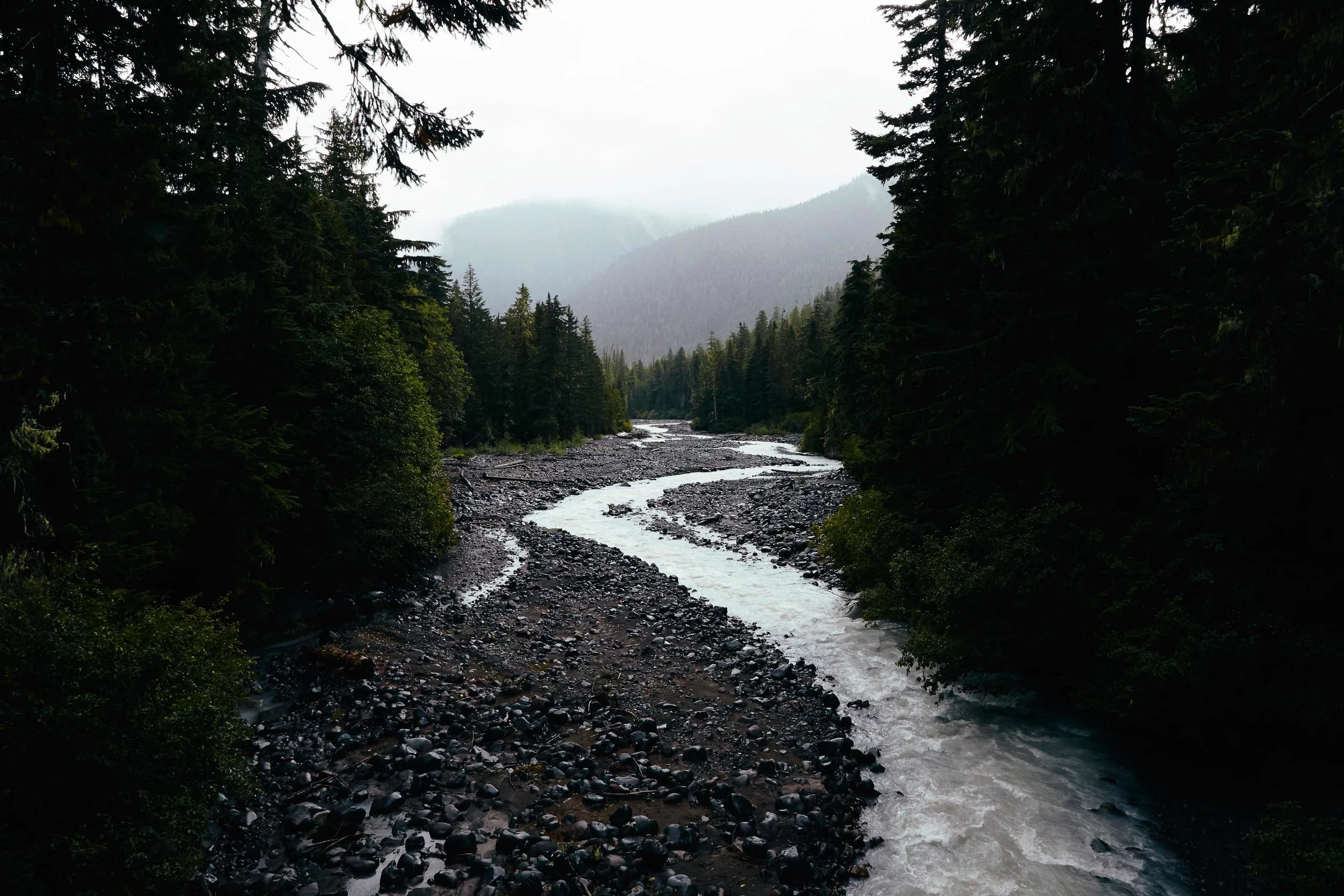 092316_mtrainier_barb_011-1.jpg