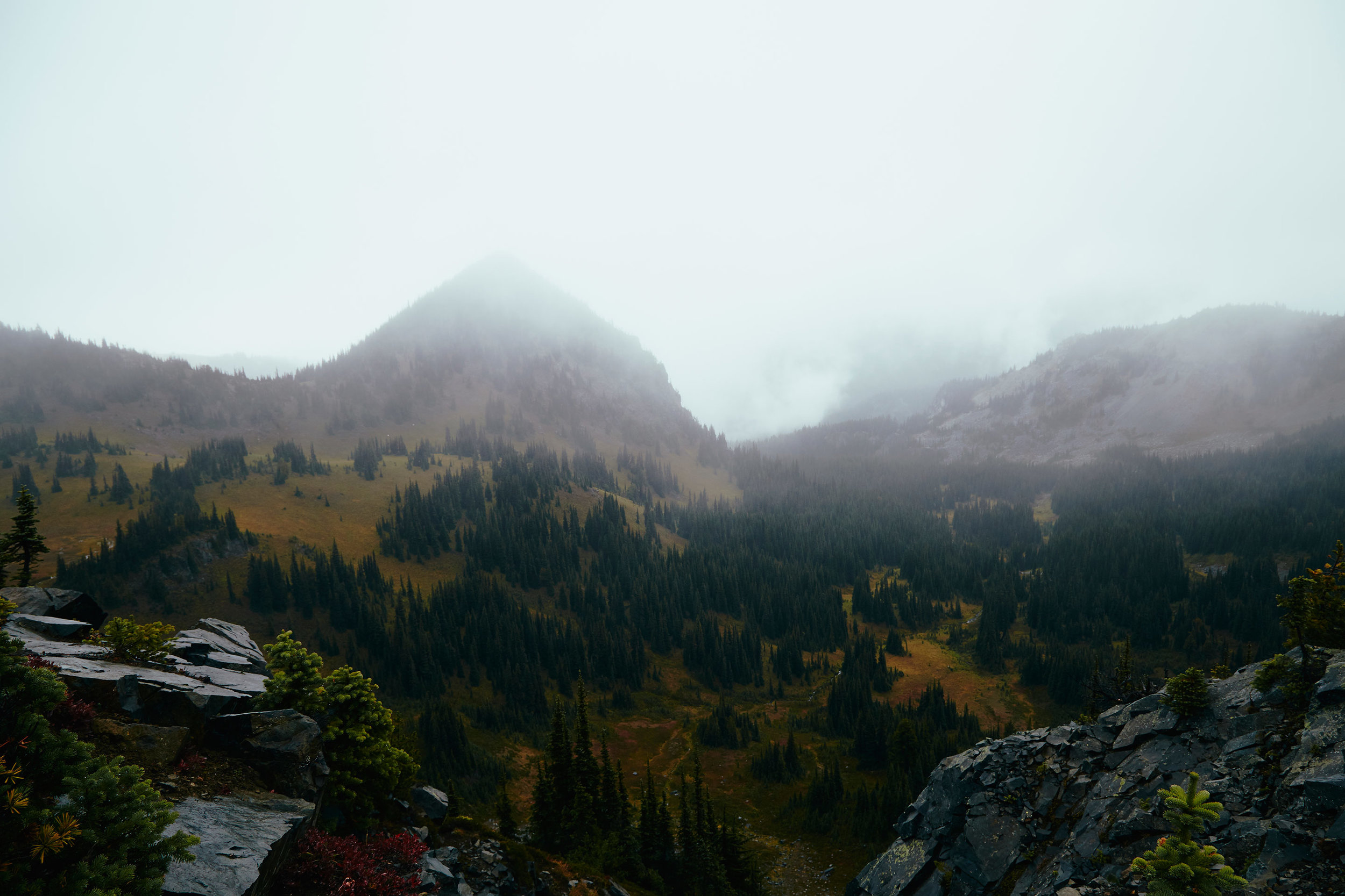 092316_mtrainier_barb_045-1.jpg