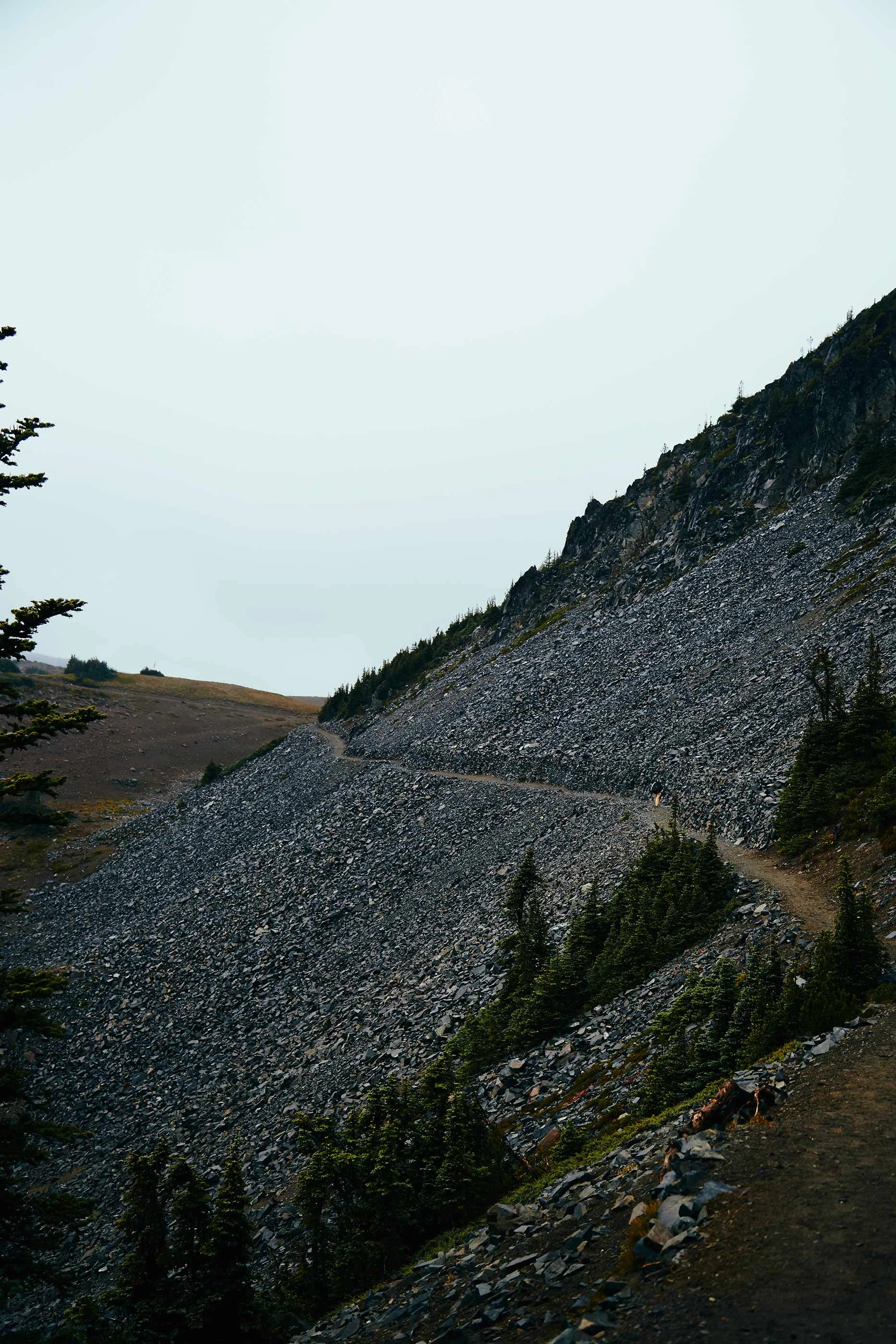 092316_mtrainier_barb_076-1.jpg