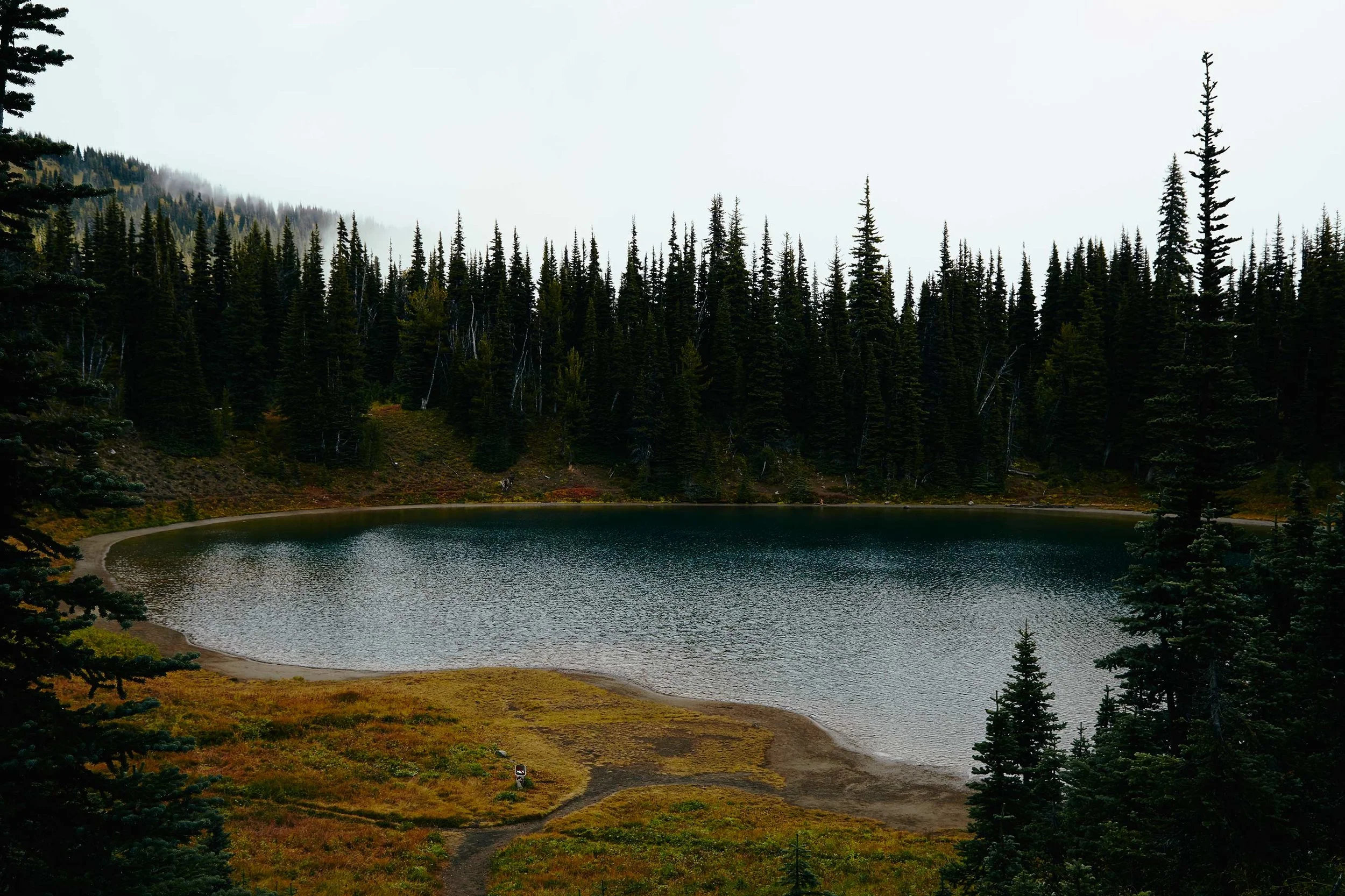 092316_mtrainier_barb_146-1.jpg