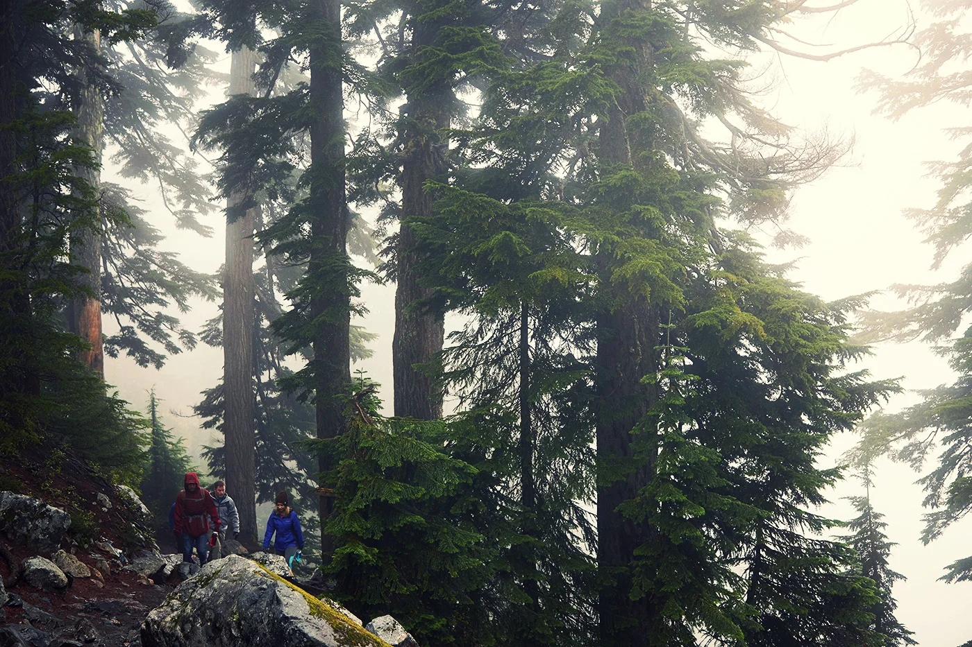 100816_snow-lake_285.jpg