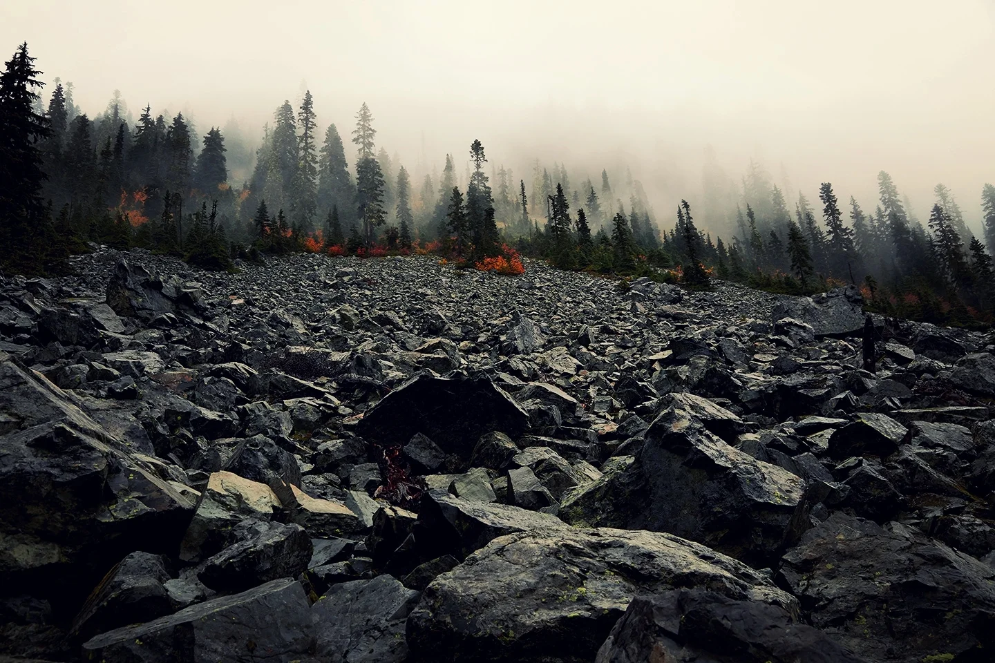 100816_snow-lake_146.jpg