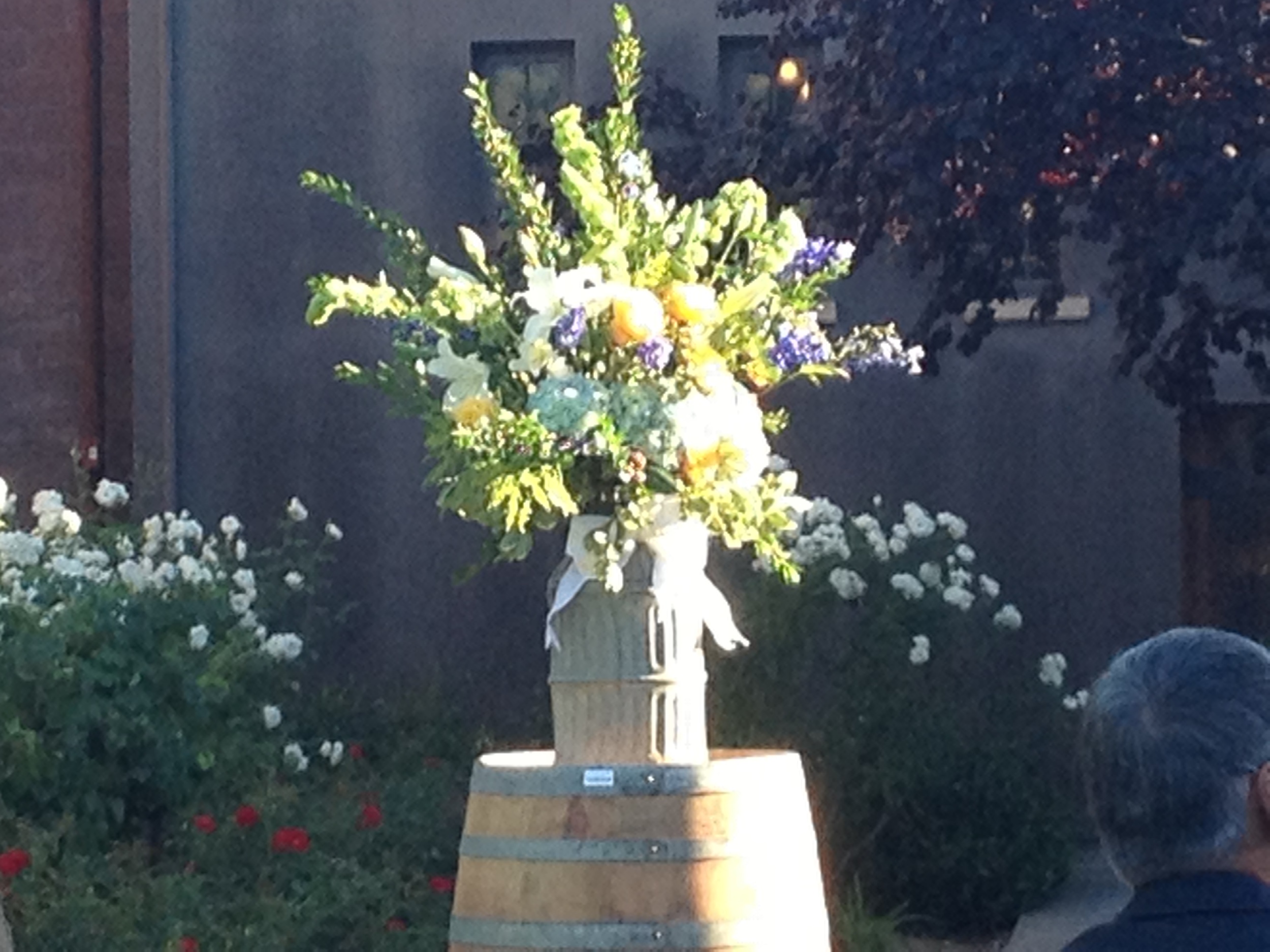 stuff fall 2013 096.JPG