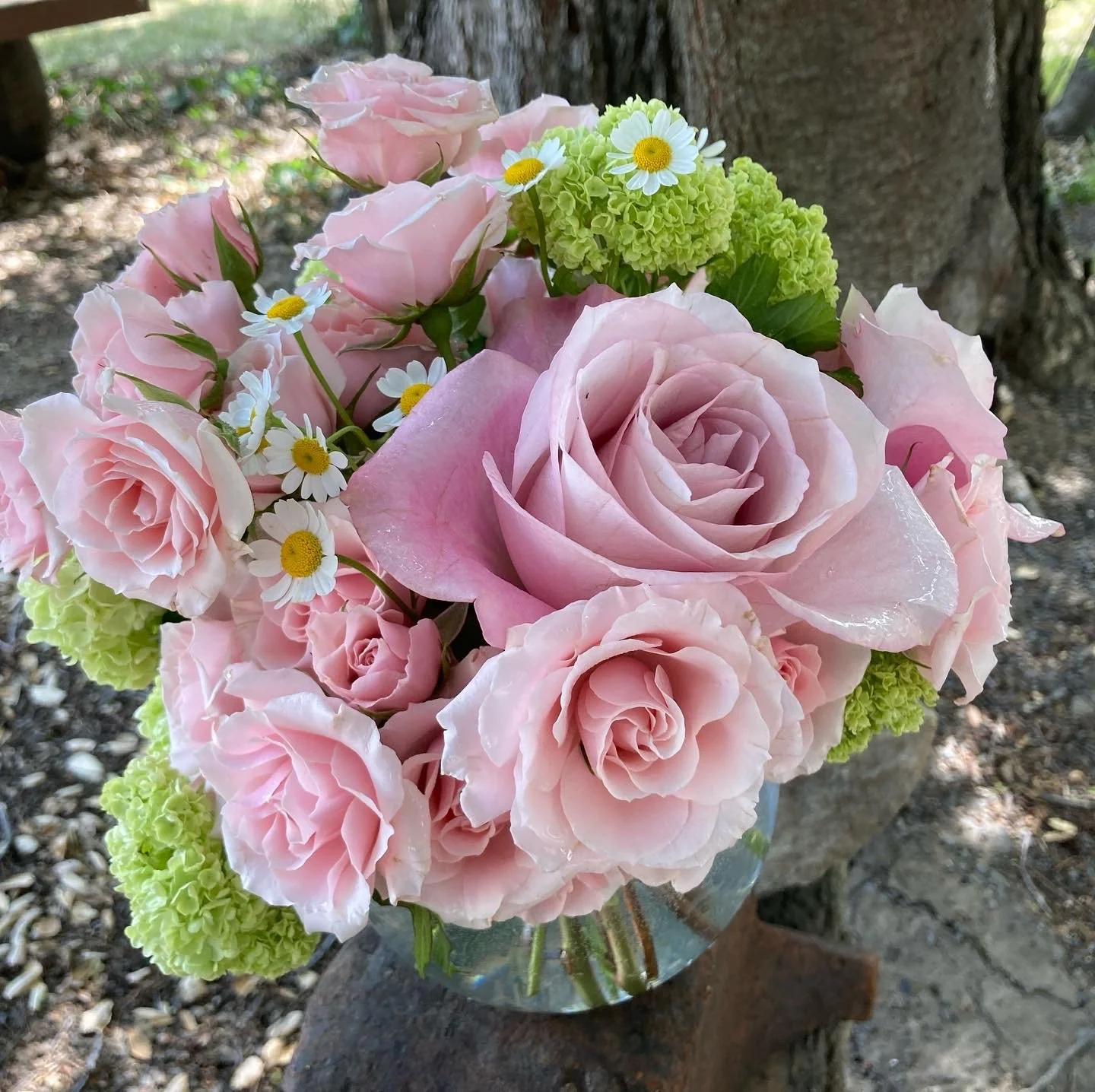 464DA6EB-2B68-4E59-AB9C-745C3F397F82 - Copy.jpg