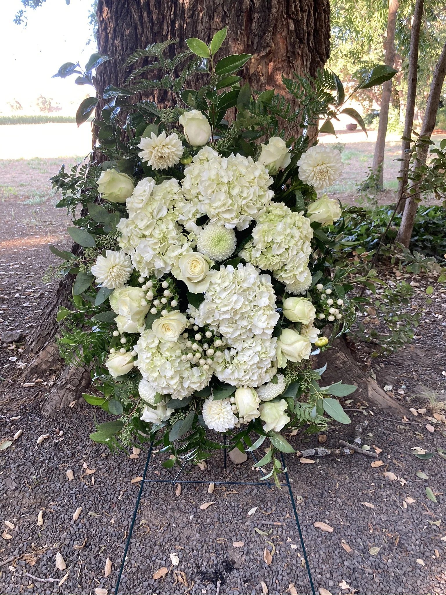 IMG_0084 - Copy.JPEG