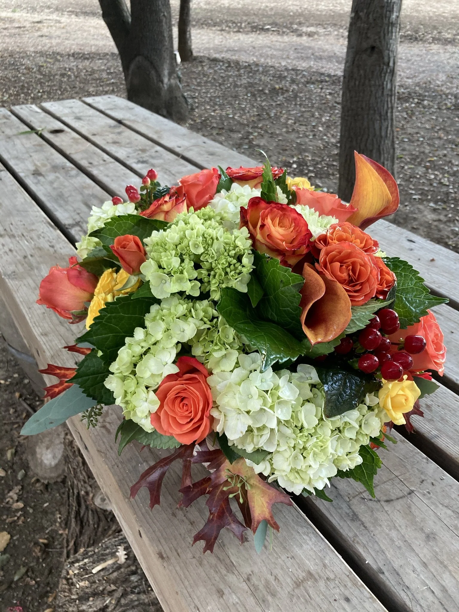 IMG_0613 - Copy.JPEG