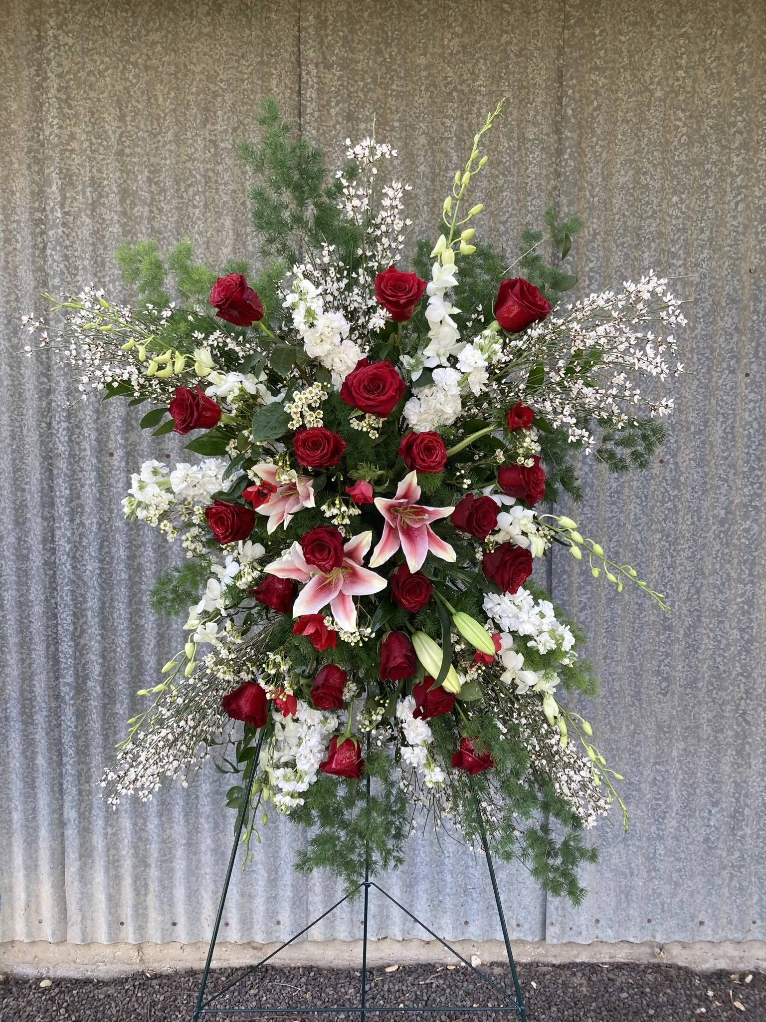 IMG_1032 - Copy.JPEG