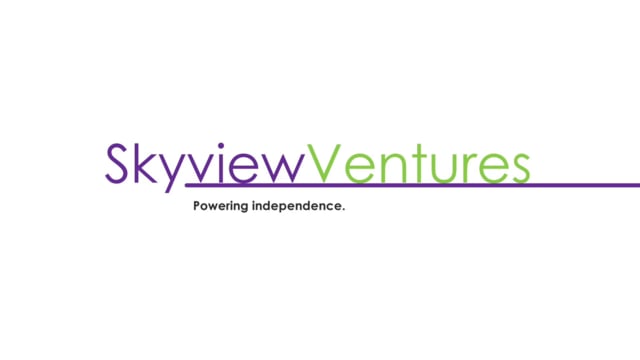 Skyview Ventures
