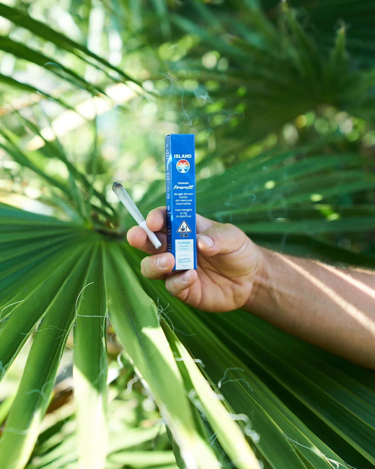 VWH_IslandCannabis_062020_ClassicHeroHand_20688.jpg