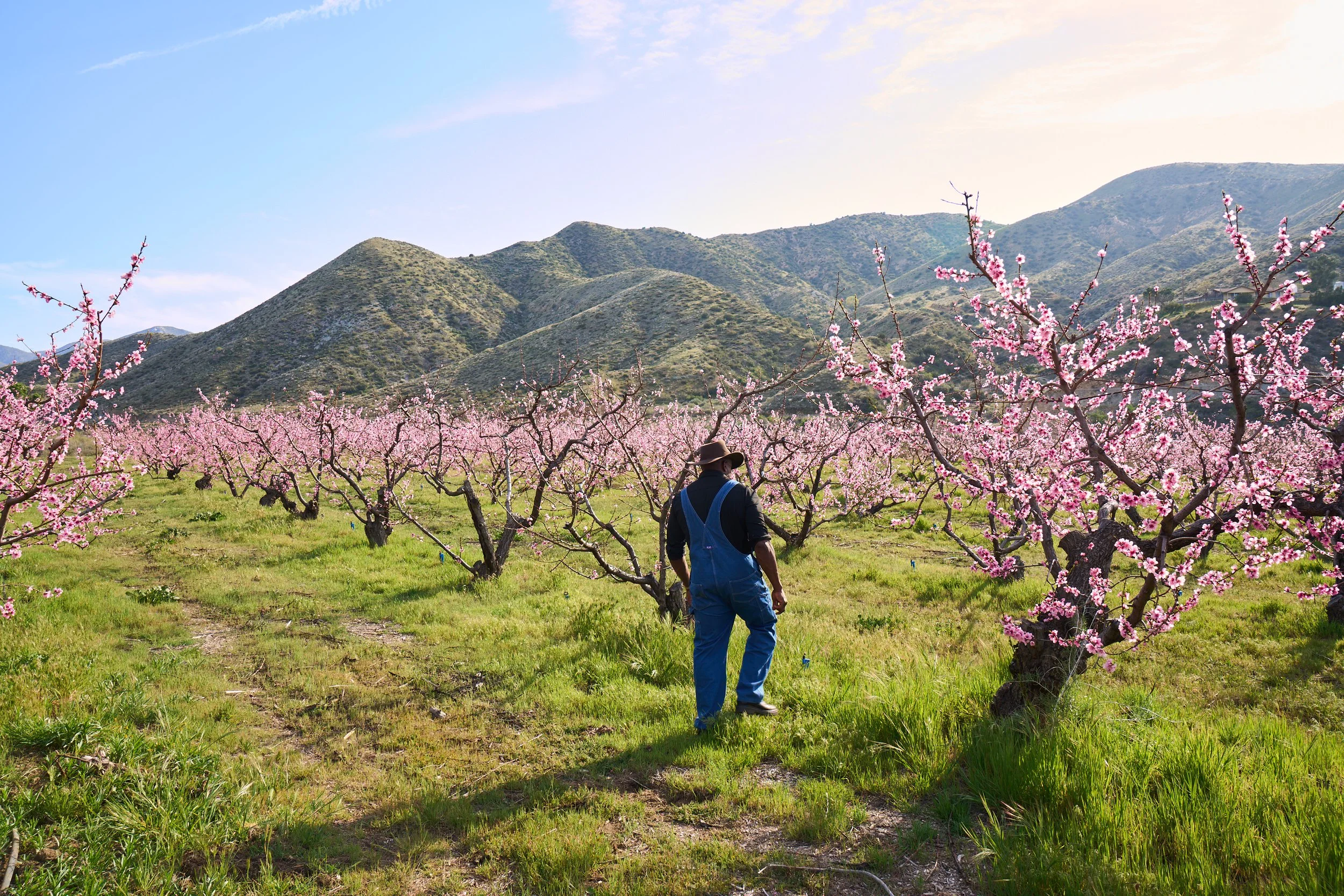VWH_BloomRanch_Doc_0324_1381.jpg