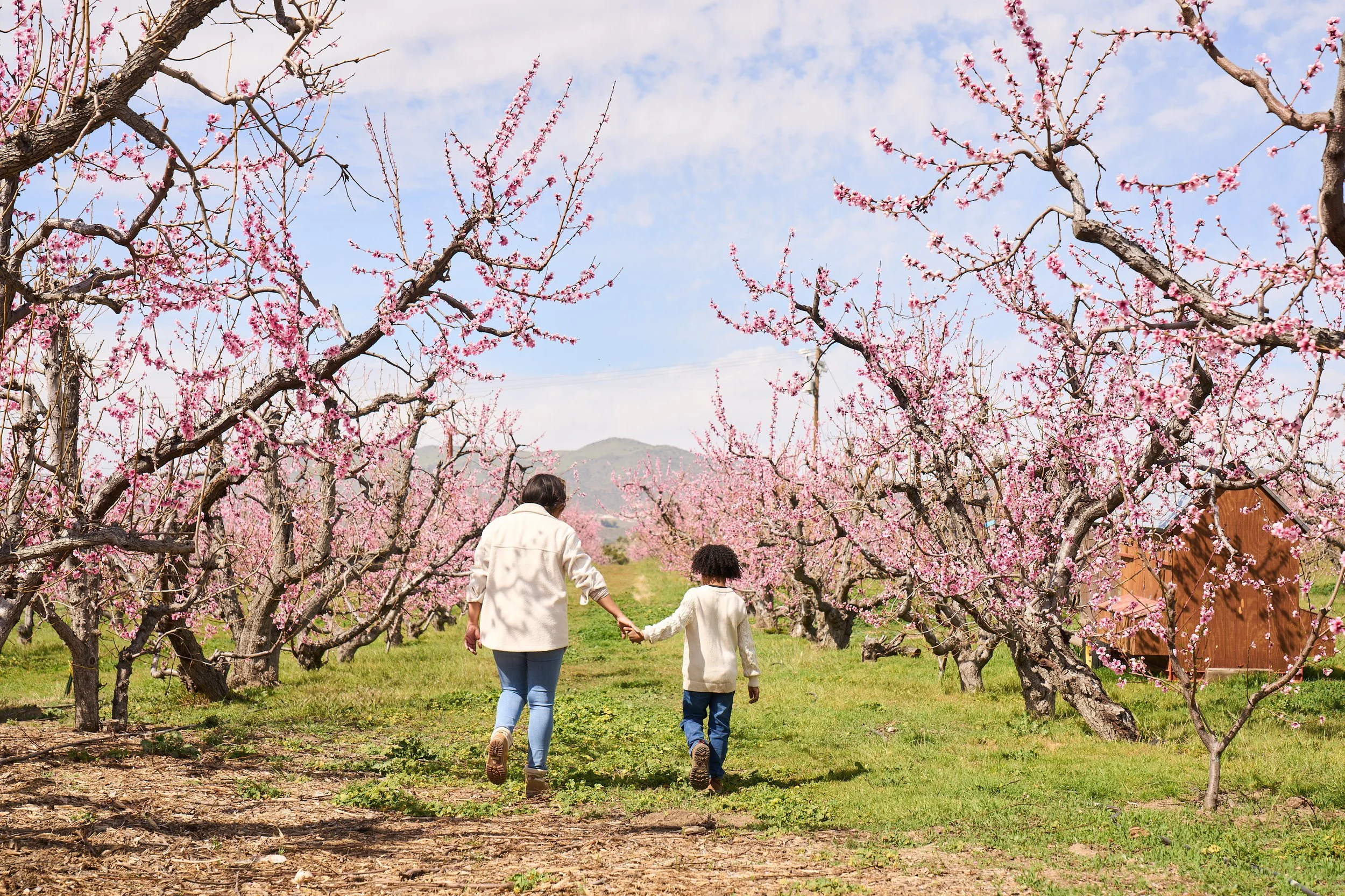 VWH_BloomRanch_Farm_0324_1214.jpg