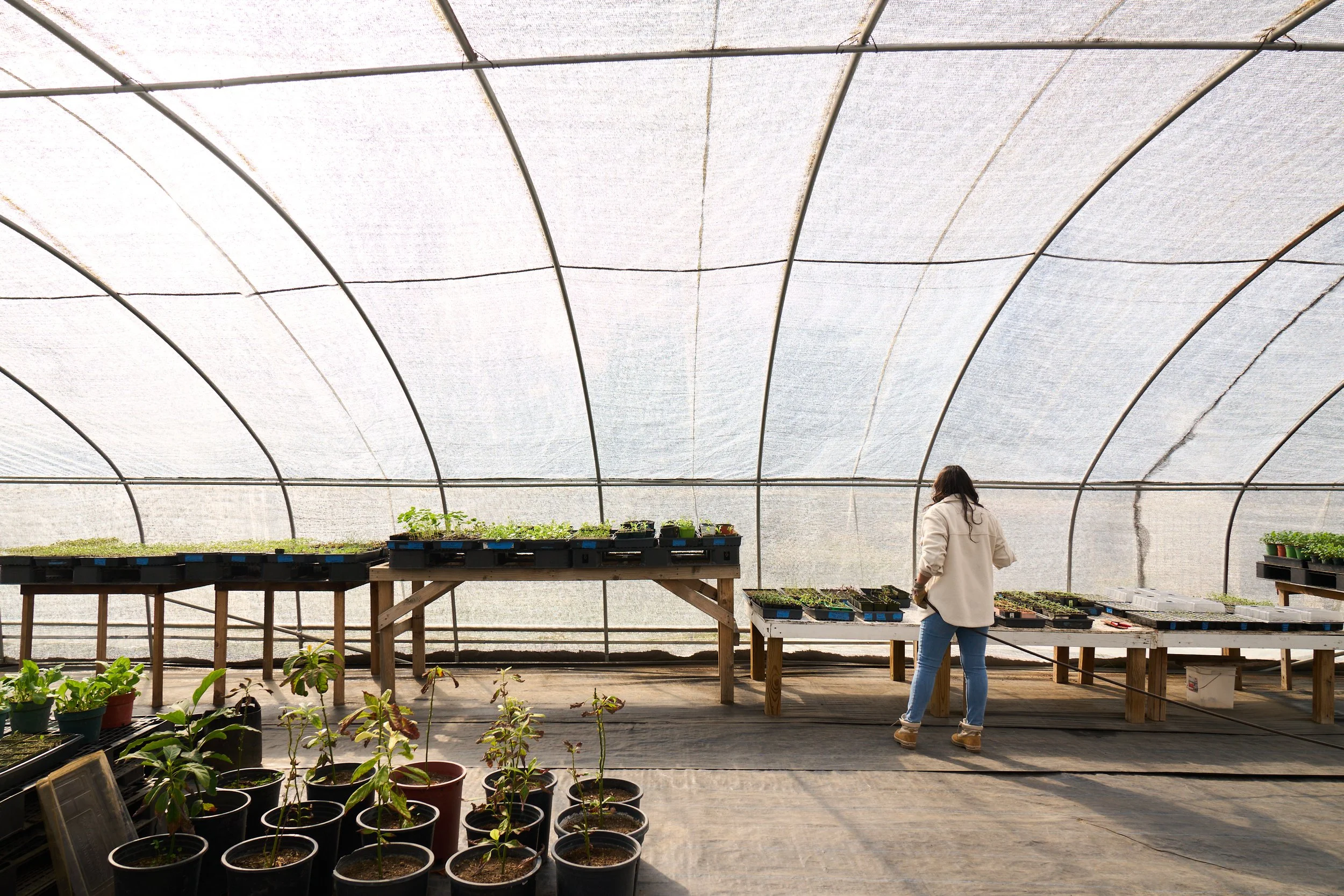 VWH_BloomRanch_Greenhouses_0324_1290.jpg