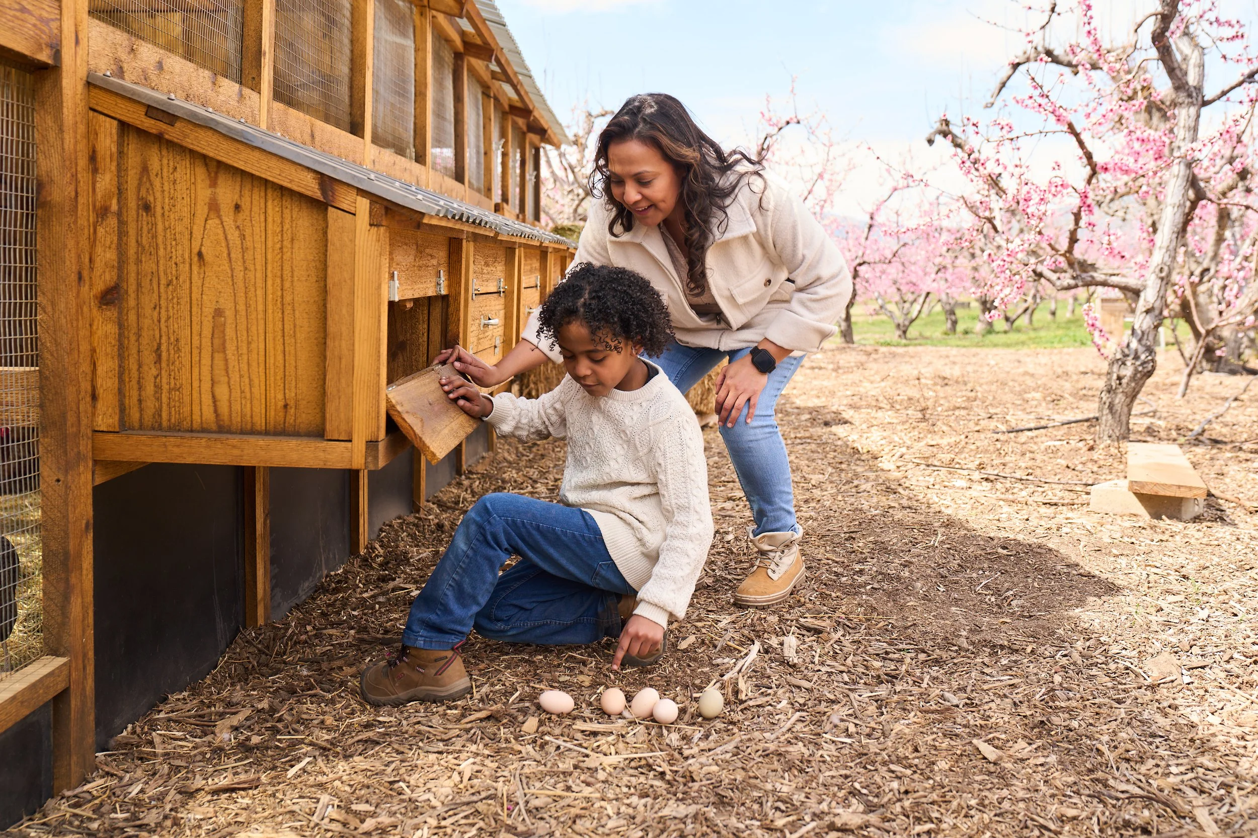 VWH_BloomRanch_Chickens_0324_1195.jpg